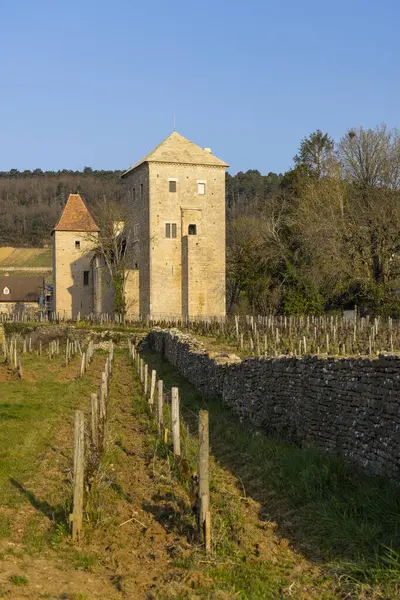 Zamek Gevrey Chambertin Burgundia Francja — Zdjęcie stockowe