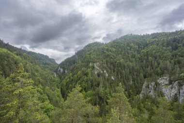 Bahar zamanı Kvacianska Vadisi, Chocske Vrchy, Slovakya