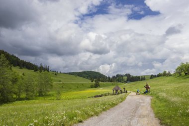 Hron Baharı, Horehronie, Low Tatras, Slovakya
