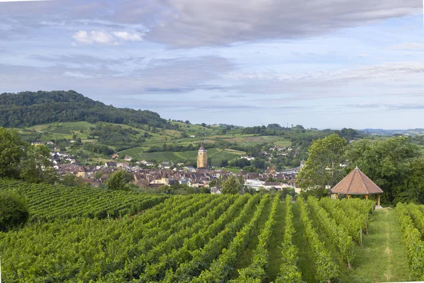 Vignobles Avec Ville Arbois Département Jura Franche Comte France — Photo