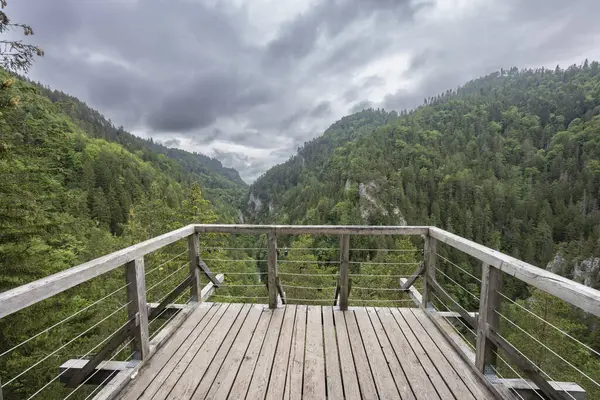 Dolina Kvacianska Okresie Wiosennym Chocske Vrchy Słowacja — Zdjęcie stockowe