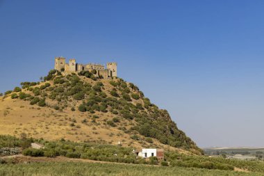 Endülüs 'teki Almodovar del Rio kalesi, İspanya