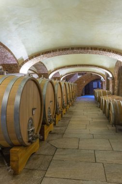 Wine cellar in Piedmont, Italy