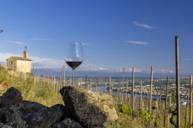 Grand cru vineyard and Chapel of Saint Christopher, Tain l'Hermitage, Rhone-Alpes, France