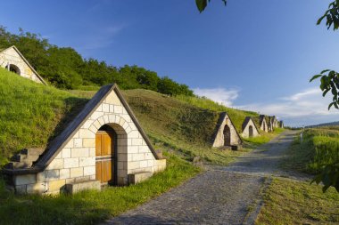 Hercegkut 'ta Gombos-hegyi kıskacı, UNESCO alanı, Great Plain, Kuzey Macaristan