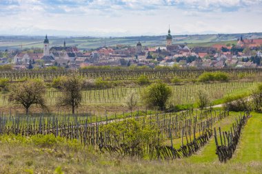 Arka planda bahar üzüm bağları ve Alp dağları olan Retz, Aşağı Avusturya, Avusturya