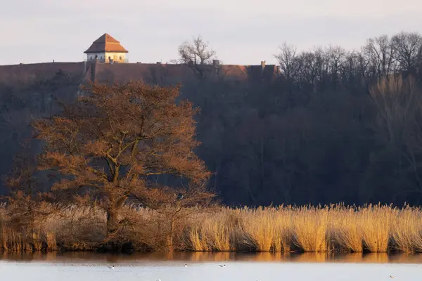 捷克共和国摩拉维亚南部Znojmo地区Jaroslavice有池塘的城堡 — 图库照片