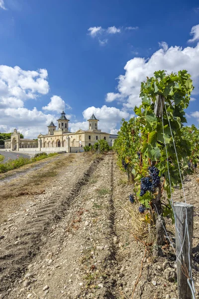 Vineyards Chateau Cos Estournel Bordeaux Aquitaine France — Stock Photo, Image