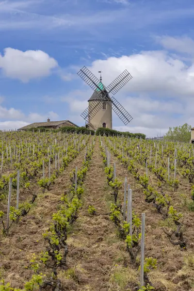 Windmill Moulin Vent Romaneche Thorins Chenas Beaujolais Saone Loire Bourgogne — Stock Photo, Image