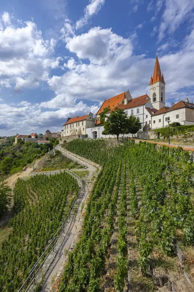 Райський Виноградник Місті Зноймо Південна Моравія Чехія — стокове фото