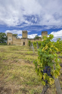 Sauternes şarap bölgesinde Budos Şatosu (Chateau de Budos), Gironde ayrılışı, Aquitaine, Fransa