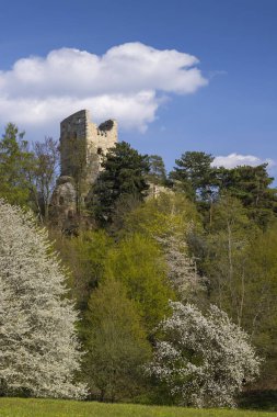 Valecov Kalesi Harabeleri, Orta Bohemya, Çek Cumhuriyeti