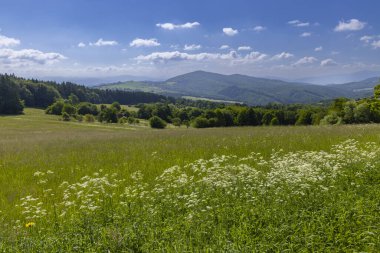 Stary Hrozenkov, Güney Moravya, Çek Cumhuriyeti yakınlarındaki Beyaz Karpatlar 'daki Tipik Bahar manzarası