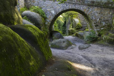 Doğa koruma alanı Broumovske steny, doğu Bohemya, Çek Cumhuriyeti