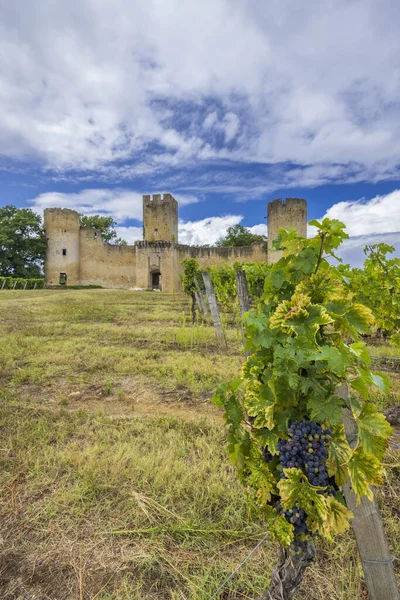 Budos Slott Chateau Budos Sauternes Vinregion Gironde Departement Aquitaine Frankrike – stockfoto