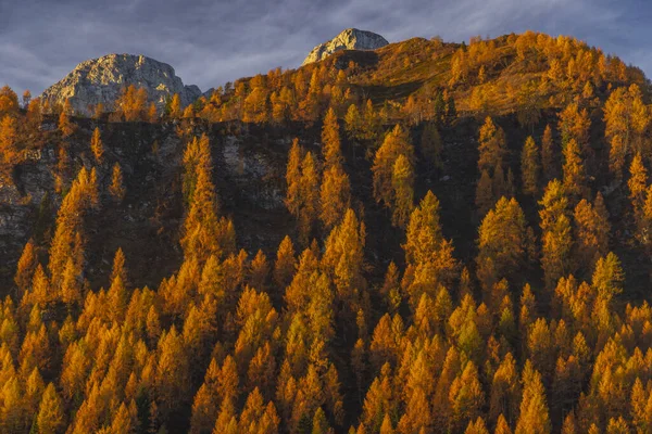 Landskap Nära Sella Razzo Och Sella Rioda Pass Carnic Alps — Stockfoto