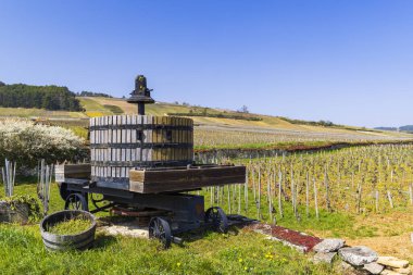 Eski şarap presi, Cote de Nuits, Burgundy, Fransa