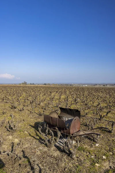 Spring Vineyards Rully Burgundy France — Stockfoto