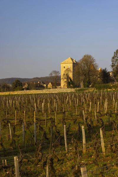 Chateau Gevrey Chambertin Slott Bourgogne Frankrike — Stockfoto