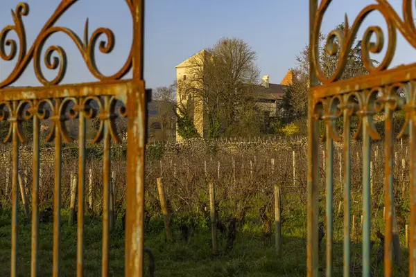 Шато Жевре Шамбертен Замок Бургунди Франция — стоковое фото