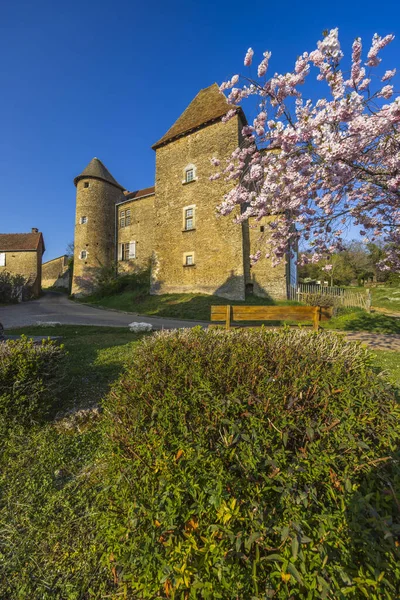 Chateau Bissy Sur Fley Too Chateau Pontus Tyard Bissy Sur — Stock Photo, Image