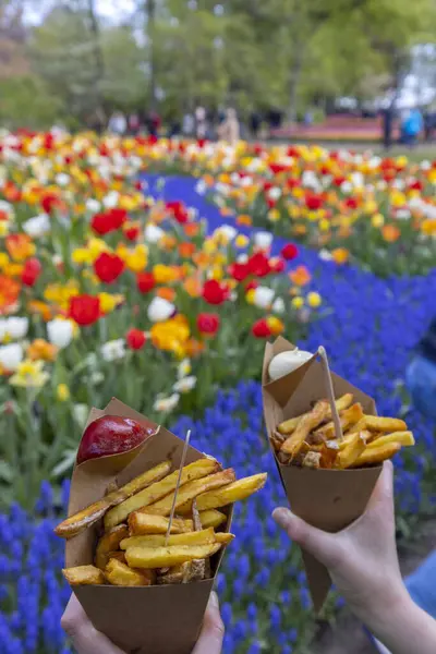 Belgian fries in Keukenhof flower garden, Lisse, Netherlands