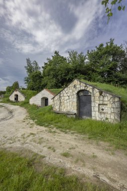 Şarap mahzeni (Tufove pivnice), Velka Trna, Kosice ülkesi, Zemplin bölgesi, Slovakya