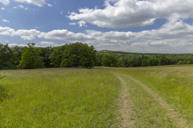 Lucina, Beyaz Karpatlar, Çek Cumhuriyeti yakınlarında Vojsicke louky ulusal doğa rezervasyonu