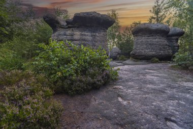 Doğa koruma alanı Broumovske steny, doğu Bohemya, Çek Cumhuriyeti