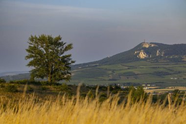 Dolni Dunajovice yakınlarındaki Palava manzarası, Güney Moravya, Çek Cumhuriyeti