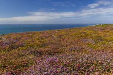 Cap de la Chevre, Crozon, Brittany, Fransa 'da manzara