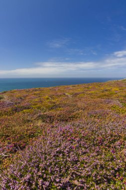Cap de la Chevre, Crozon, Brittany, Fransa 'da manzara