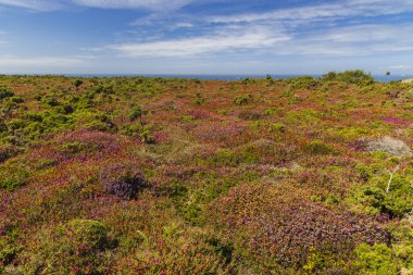 Cap de la Chevre, Crozon, Brittany, Fransa 'da manzara