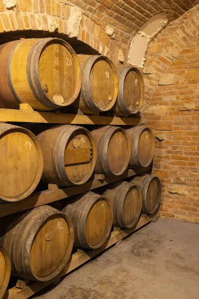 Modern Production Wine Cellar Barrel Southern Moravia Czech Republic — Stock Photo, Image