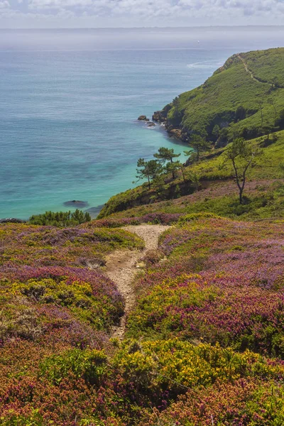 Cap de la Chevre, Crozon, Brittany, Fransa 'da manzara