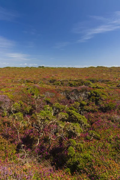 Cap de la Chevre, Crozon, Brittany, Fransa 'da manzara