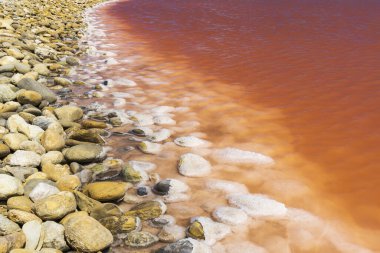 Camargue bölgesindeki Salin de Giraud, Provence, Fransa