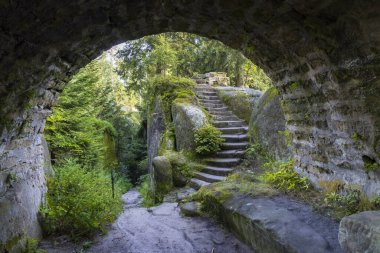 Doğa koruma alanı Broumovske steny, doğu Bohemya, Çek Cumhuriyeti