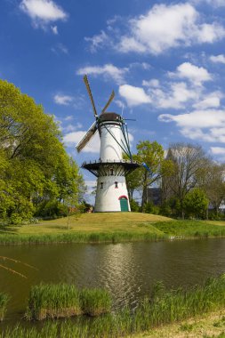 Windmill Hoop in Tholen, Netherlands