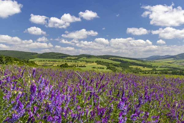 Spring Landscape White Carpathians Southern Moravia Czech Republic — Stock Photo, Image