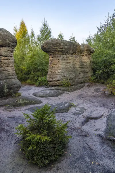 Landscape Nature Reserve Broumovske Steny Eastern Bohemia Czech Republic — Stock Photo, Image