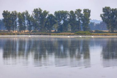 Trebon 'daki Svet Gölü, Güney Bohemya, Çek Cumhuriyeti