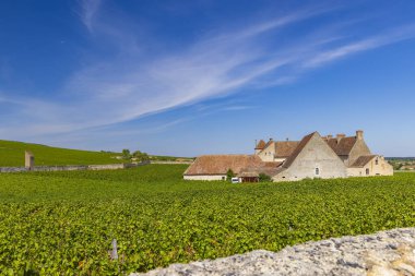 Clos de Vougeot Kalesi, Cote de Nuits, Burgundy, Fransa