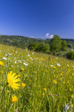 Stary Hrozenkov, Güney Moravya, Çek Cumhuriyeti yakınlarındaki Beyaz Karpatlar 'daki Tipik Bahar manzarası