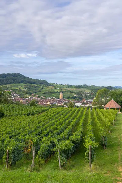 Vinodlingar Med Arbois Stad Departementet Jura Franche Comte Frankrike — Stockfoto