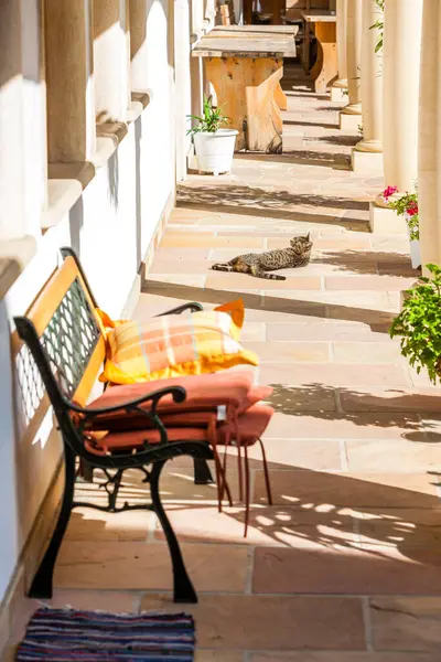 Kapıda bir kedi Güneşli bir günde adım atıyor