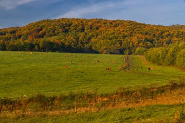 Karpat Dağları manzarası, Doğu Slovakya