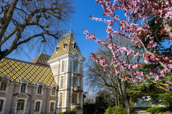 Chateau Aloxe Corton Kasteel Bourgogne Frankrijk — Stockfoto