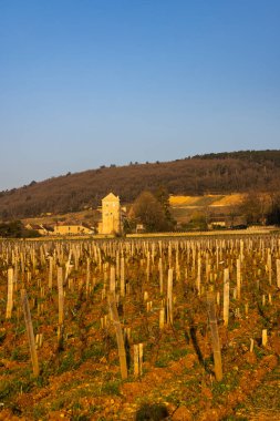 Chateau de Gevrey-Chambertin (kale), Burgundy, Fransa