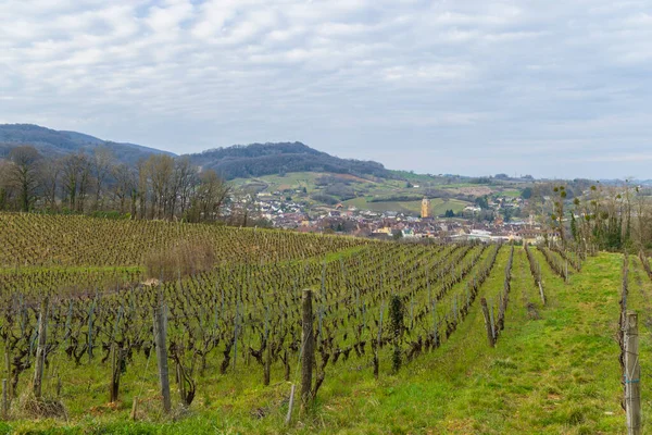 Wijngaarden Met Arbois Stad Departement Jura Franche Comte Frankrijk — Stockfoto